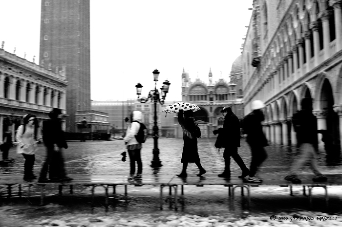 Copyright Stefano Maselli